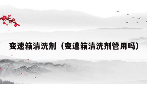 变速箱清洗剂（变速箱清洗剂管用吗）