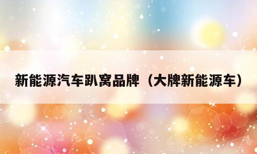 新能源汽车趴窝品牌（大牌新能源车）