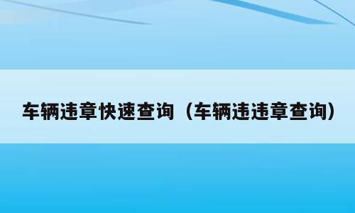 车辆违章快速查询（车辆违违章查询）