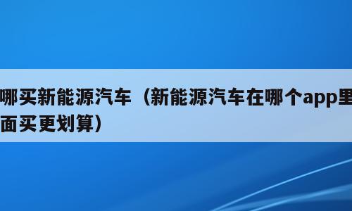 哪买新能源汽车（新能源汽车在哪个app里面买更划算）