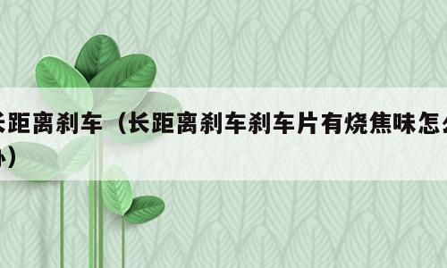 长距离刹车（长距离刹车刹车片有烧焦味怎么办）