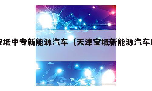 宝坻中专新能源汽车（天津宝坻新能源汽车厂）