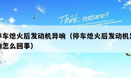 停车熄火后发动机异响（停车熄火后发动机异响怎么回事）