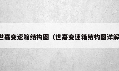 世嘉变速箱结构图（世嘉变速箱结构图详解）