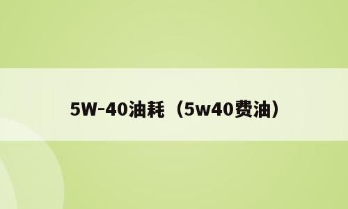 5W-40油耗（5w40费油）