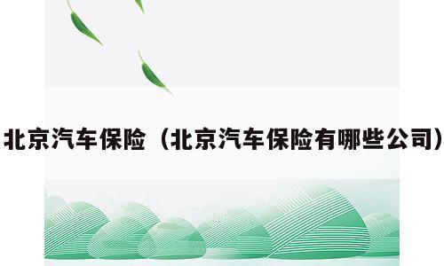 北京汽车保险（北京汽车保险有哪些公司）