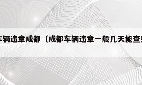 车辆违章成都（成都车辆违章一般几天能查到）