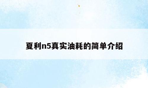夏利n5真实油耗的简单介绍