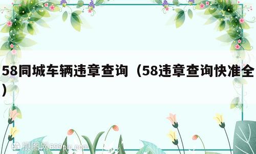 58同城车辆违章查询（58违章查询快准全）