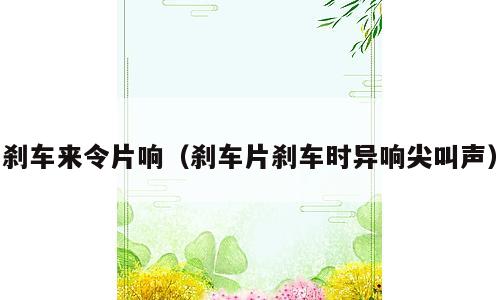 刹车来令片响（刹车片刹车时异响尖叫声）