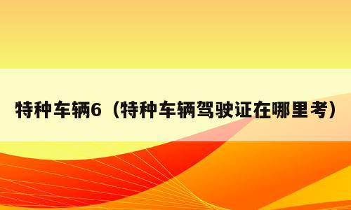 特种车辆6（特种车辆驾驶证在哪里考）