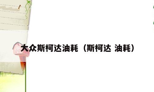 大众斯柯达油耗（斯柯达 油耗）