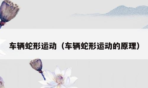 车辆蛇形运动（车辆蛇形运动的原理）