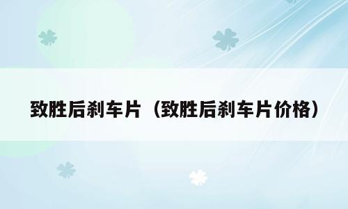 致胜后刹车片（致胜后刹车片价格）