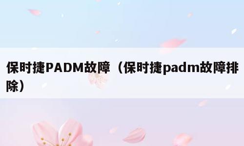 保时捷PADM故障（保时捷padm故障排除）