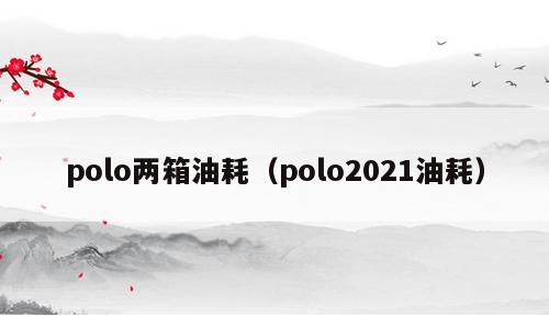 polo两箱油耗（polo2021油耗）