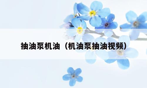 抽油泵机油（机油泵抽油视频）