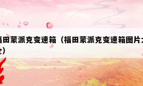 福田蒙派克变速箱（福田蒙派克变速箱图片大全）