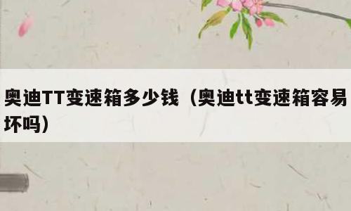 奥迪TT变速箱多少钱（奥迪tt变速箱容易坏吗）
