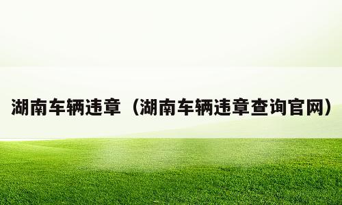 湖南车辆违章（湖南车辆违章查询官网）