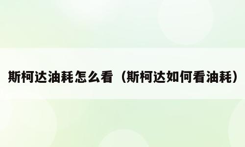 斯柯达油耗怎么看（斯柯达如何看油耗）
