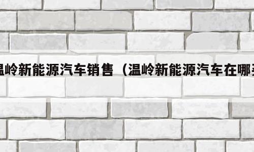 温岭新能源汽车销售（温岭新能源汽车在哪买）