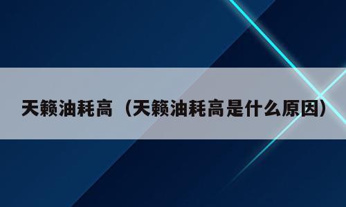 天籁油耗高（天籁油耗高是什么原因）