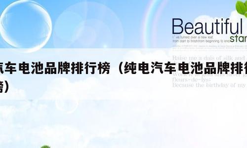 汽车电池品牌排行榜（纯电汽车电池品牌排行榜）