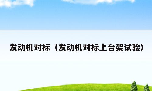 发动机对标（发动机对标上台架试验）