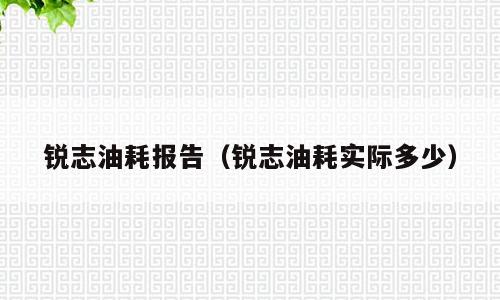 锐志油耗报告（锐志油耗实际多少）