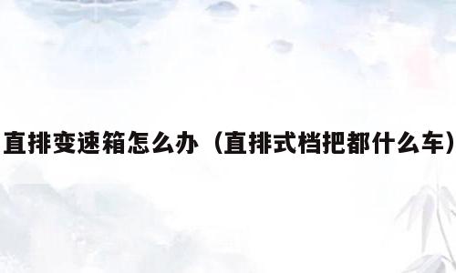 直排变速箱怎么办（直排式档把都什么车）