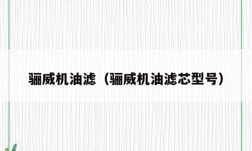 骊威机油滤（骊威机油滤芯型号）