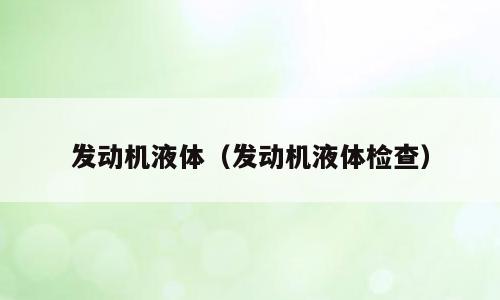 发动机液体（发动机液体检查）