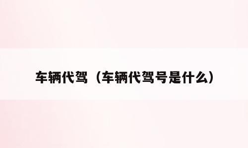 车辆代驾（车辆代驾号是什么）