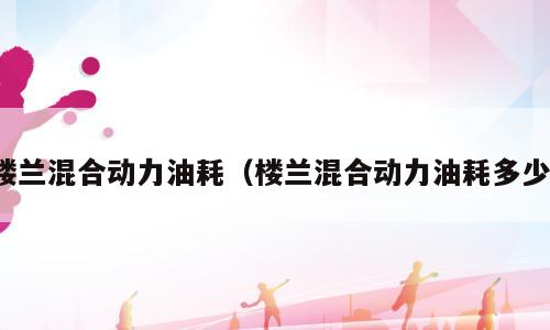 楼兰混合动力油耗（楼兰混合动力油耗多少）