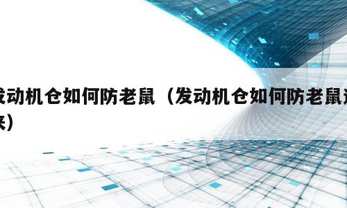 发动机仓如何防老鼠（发动机仓如何防老鼠进来）