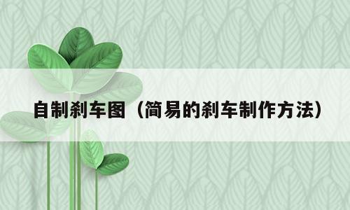 自制刹车图（简易的刹车制作方法）