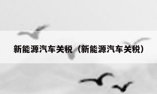 新能源汽车关税（新能源汽车关税）