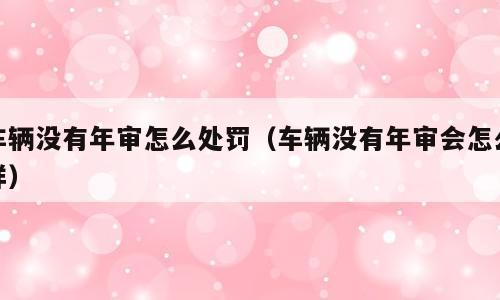 车辆没有年审怎么处罚（车辆没有年审会怎么样）