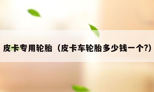 皮卡专用轮胎（皮卡车轮胎多少钱一个?）