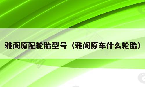 雅阁原配轮胎型号（雅阁原车什么轮胎）