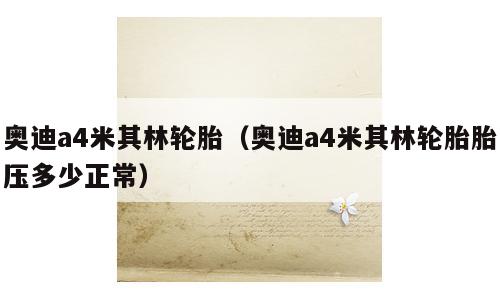 奥迪a4米其林轮胎（奥迪a4米其林轮胎胎压多少正常）