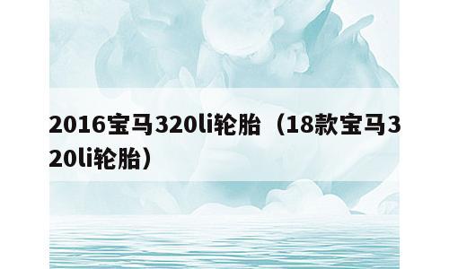 2016宝马320li轮胎（18款宝马320li轮胎）
