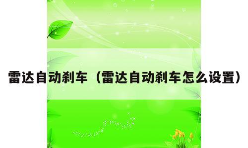 雷达自动刹车（雷达自动刹车怎么设置）
