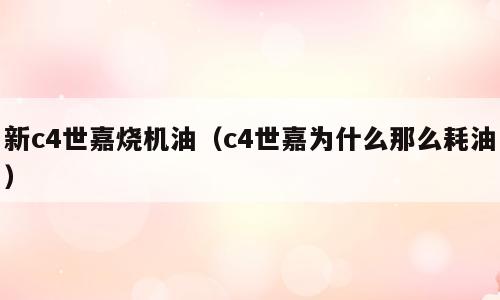 新c4世嘉烧机油（c4世嘉为什么那么耗油）