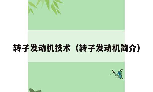 转子发动机技术（转子发动机简介）