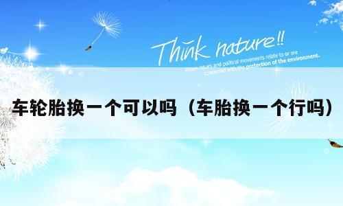 车轮胎换一个可以吗（车胎换一个行吗）