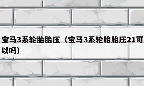 宝马3系轮胎胎压（宝马3系轮胎胎压21可以吗）