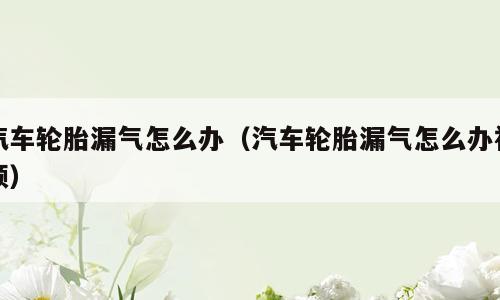 汽车轮胎漏气怎么办（汽车轮胎漏气怎么办视频）