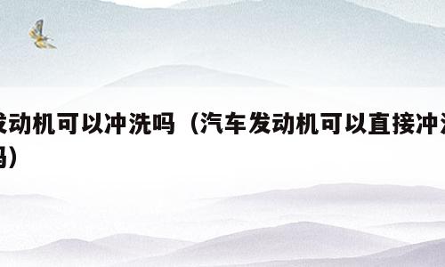 发动机可以冲洗吗（汽车发动机可以直接冲洗吗）
